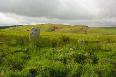 Three standing stones, two prostrate, and one partially buried lie in a row west-south-west to east-north-east. A long walk for this, good footwear imperative. Best reached by first visiting the stones at Cefn Llanerchi near the masts and aerials, then cutting a line out west to reach a track which runs past them. Any lower approach ends up being horrendously boggy.