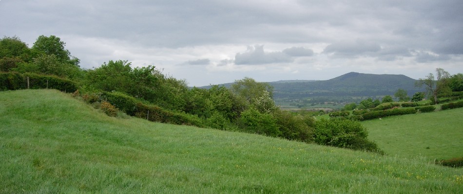 The westernmost extremity of the earthworks at Ffridd Faldwyn is at the left of the picture; it clearly shows how the natural contours of the hill were used to aid the siting of the defences. In the far distance is Corndon Hill, on the far east border of Powys into Shropshire. Even further away, to the left of Corndon Hill is The Stiperstones ridge. See main entry for more details.