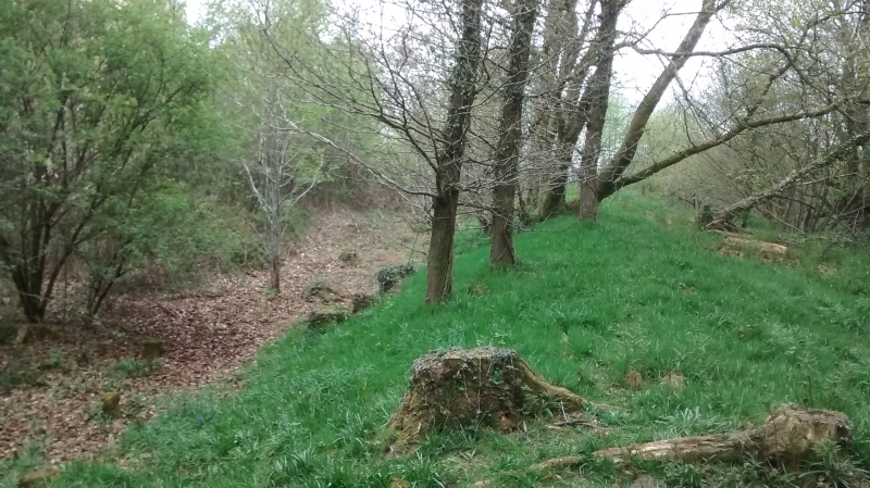 Western slope of hillfort near Crickhowell. 