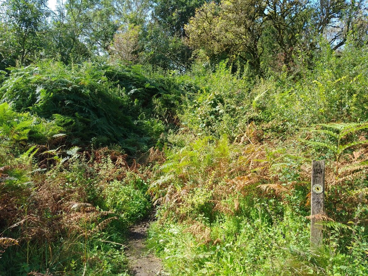 Click for the gallery page to add comments and vote (PID:276720) Llanymynech Hill
