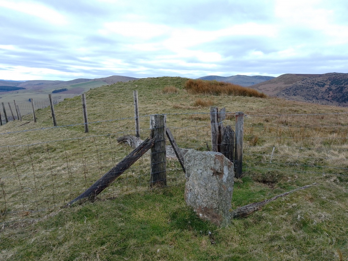 Foel Ddu Round Barrow