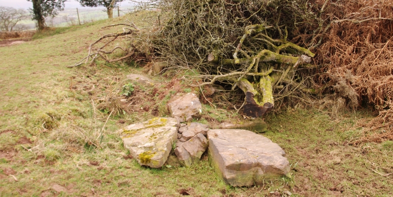This is next to the southern entrance. Around much of the site there is evidence of far too much avoidable damage for which it seems the landowner / farmer is responsible. Quite possibly these large stones were used to form the sides of a gated entrance.