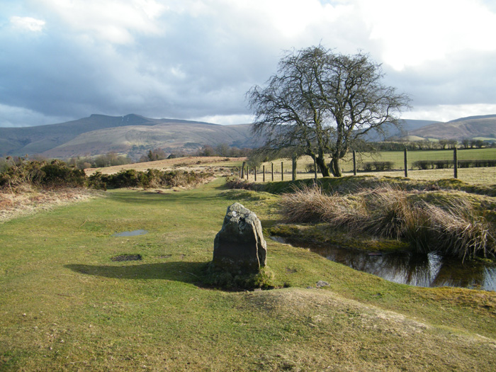 Looking South East, towards the Central Beacons. The Mountain Centre can be seen, a couple of hundred yards away in the trees, just to the left of the top of the stones. This is the venue for this years Megalithic Portal event.