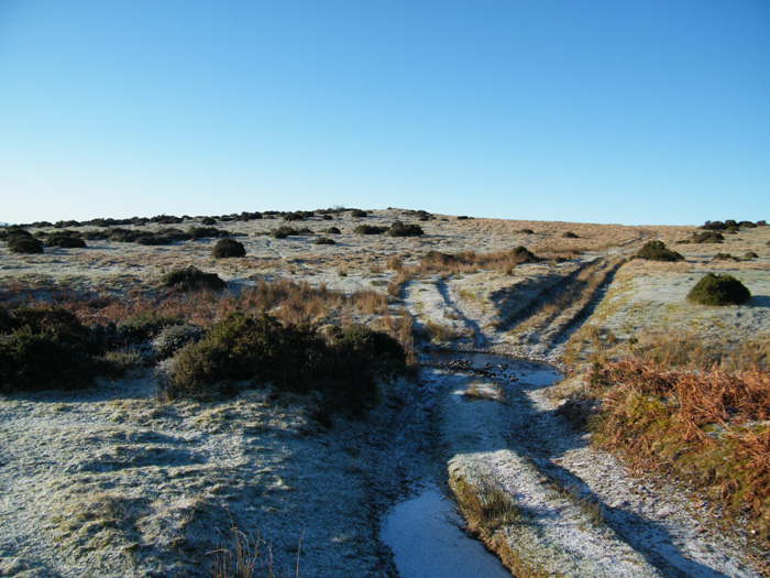 View from the road,looking South.