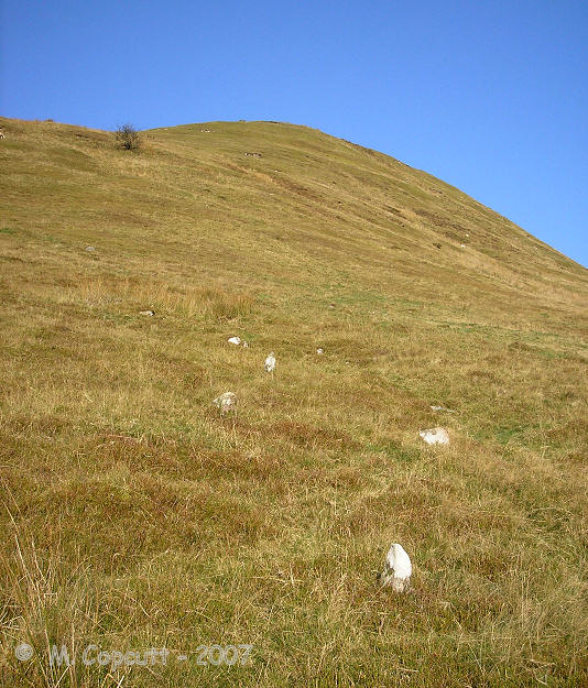 Lookling upwards towards the top of Craig-Y-Fan Ddu. 
Although well lined up along the slope, the stones in the parallel rows do not line up well across the rows. 
