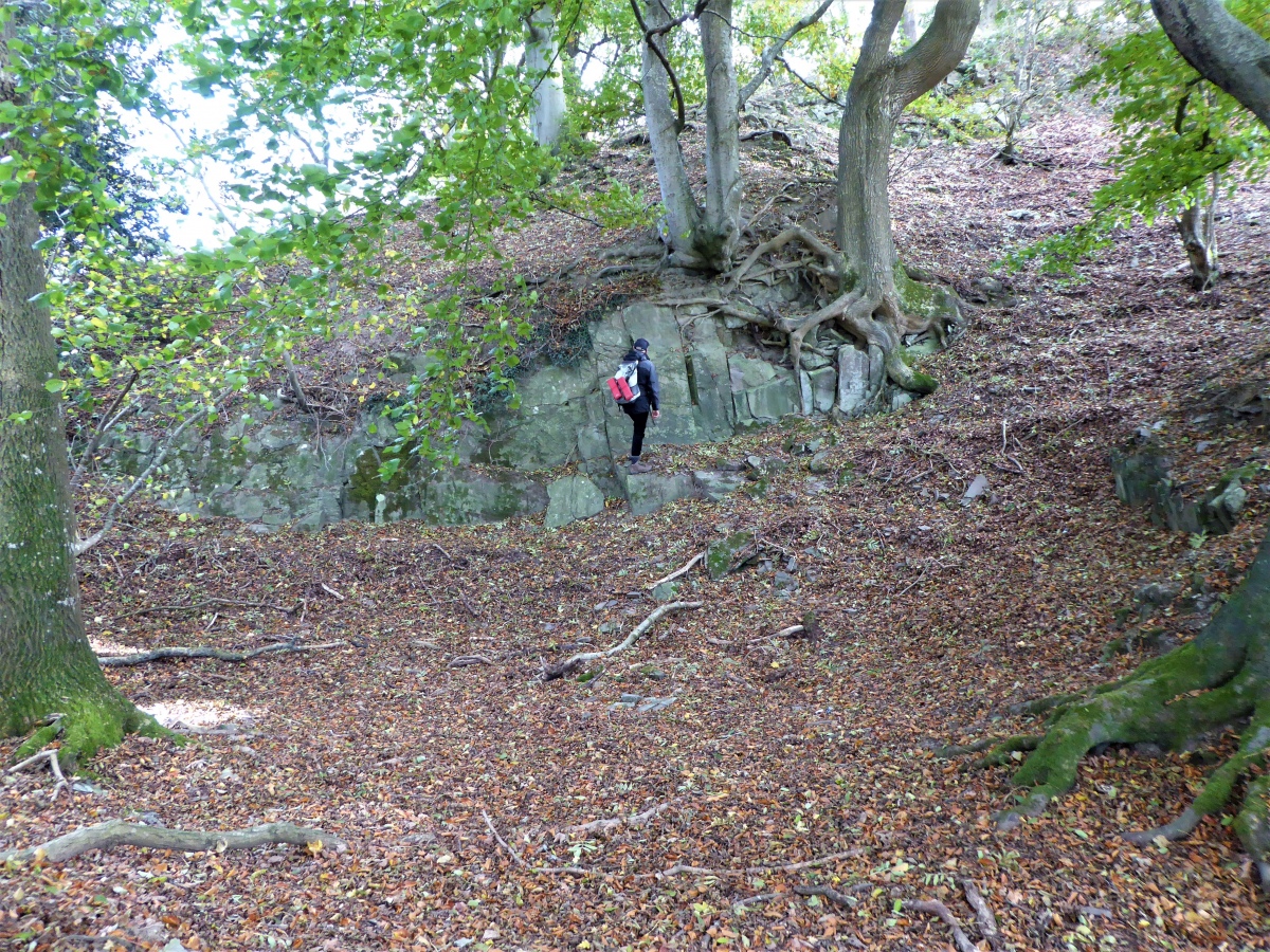Post medieval quarry between northern entrance and western ramparts.