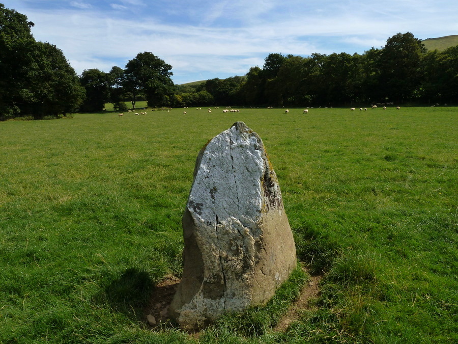 Dolmaengwyn Standing Stone, I think it may be the remaining stone of a chambered cairn, the name may suggest this as well. 