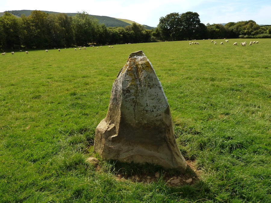 Dolmaengwyn Standing Stone.