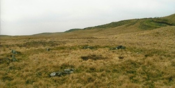 Craig y Llyn Mawr stone circle, You can see the separate stones of the circle in this photo.