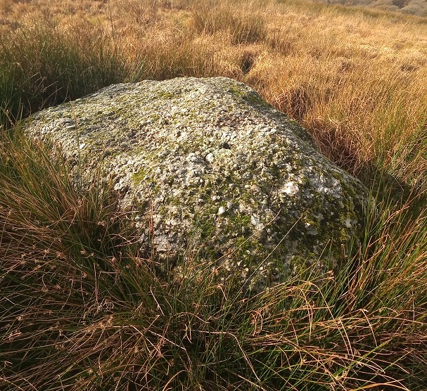 this recumbent monolith can be easily seen near the bridle way.