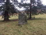 Great Oak Stone - PID:177633
