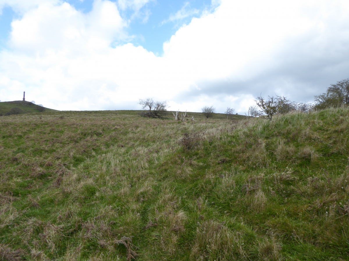 The bank of the settlement can be seen on the right. In the middle distance is the location of the associated field system. On the left in the far distance is the Breiddin hillfort with Rodney's pillar.