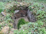 St Anne's Well (Llanmihangel) - PID:185469